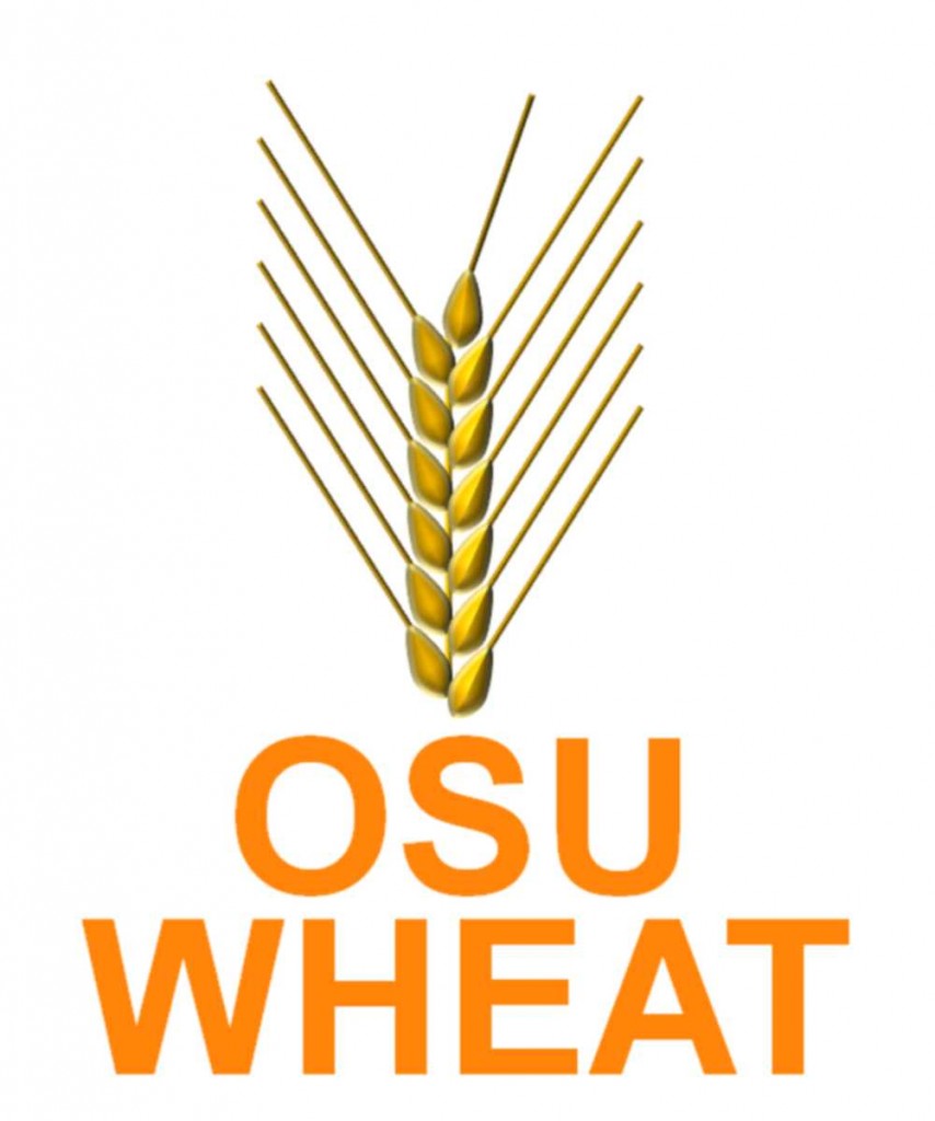 OSU WHEAT logo